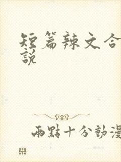 短篇辣文合集小说