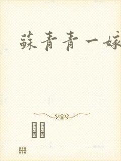 苏青青一嫁三夫封面