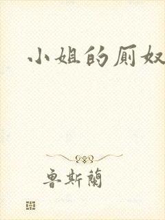 小姐的厕奴