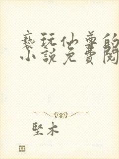亵玩仙尊的道侣小说免费阅读