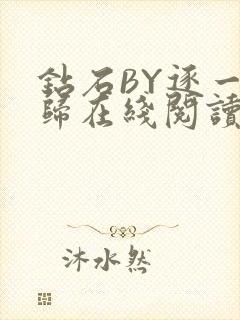 钻石BY逐一而归在线阅读