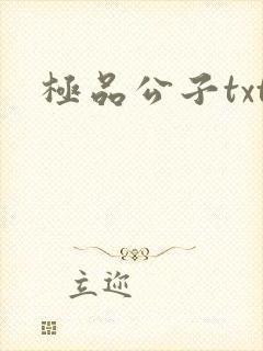 极品公子txt