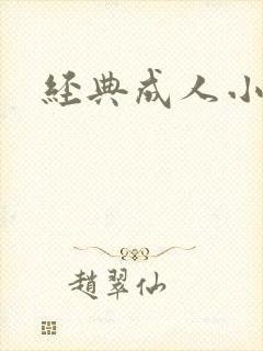 经典成人小说封面