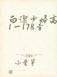 白洁少妇高义第1一178章