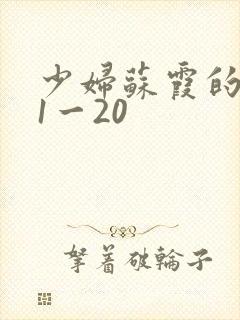 少妇苏霞的沉沦1一20