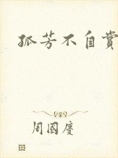 孤芳不自赏小说封面