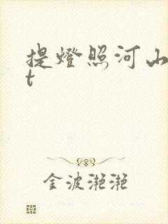 提灯照河山txt