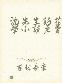 沈先生的花式教学小说免费