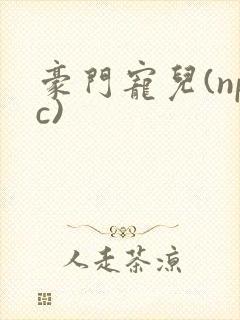 豪门宠儿(npc)