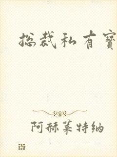 总裁私有宝贝封面