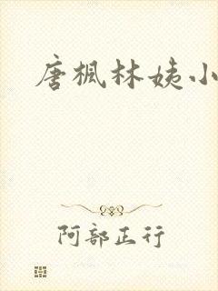唐枫林姨小说