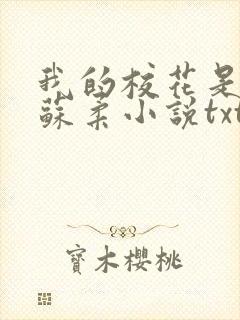 我的校花是福姬苏柔小说txt封面