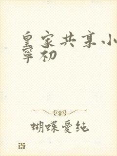 皇家共享小公主宁初