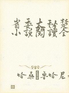 省委大秘楚东恒小说阅读全文