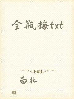 金瓶梅txt