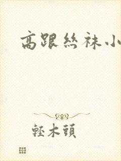 高跟丝袜小说