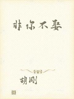 非你不娶