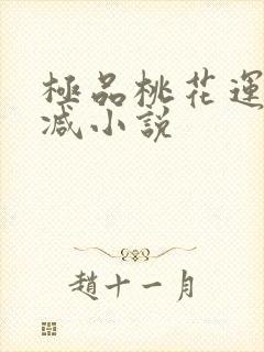 极品桃花运未删减小说