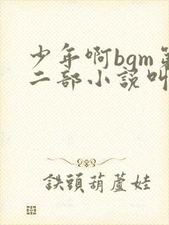 少年啊bgm第二部小说叫什么