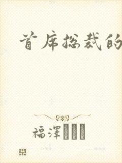 首席总裁的逃妻