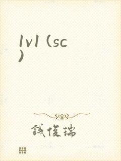 1v1 (sc)封面