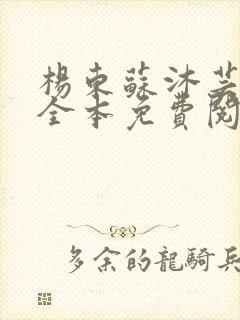 杨东苏沐芸小说全本免费阅读下载封面