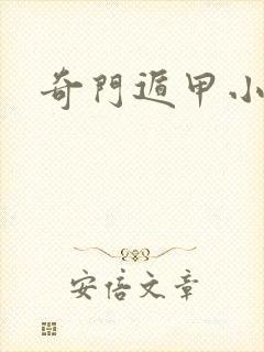 奇门遁甲小说