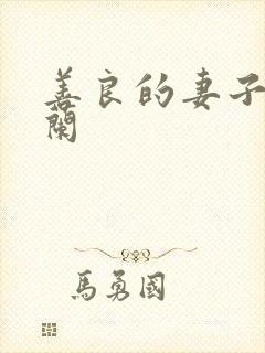善良的妻子王晓兰
