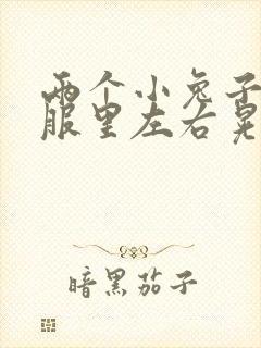 两个小兔子在衣服里左右晃封面