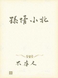 孙倩小北封面