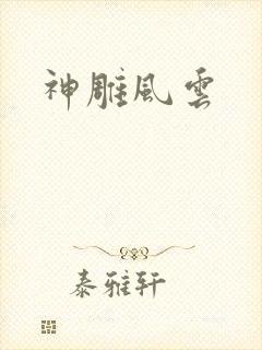 神雕风云