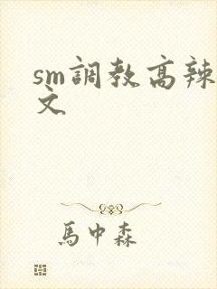sm调教高辣h文