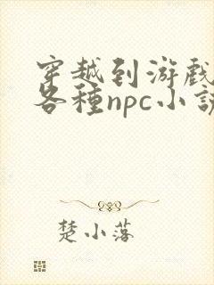 穿越到游戏里和各种npc小说