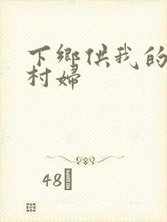 下乡供我的发泄村妇封面