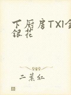 下厨房TXl金银花