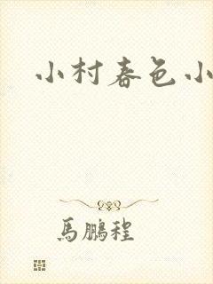 小村春色小说