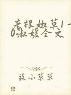 老根嫩草1一40淑媛全文