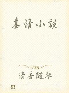 基情小说