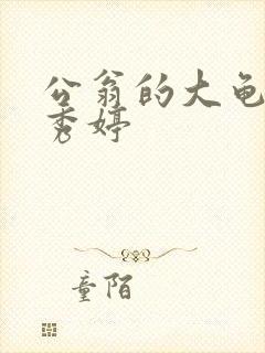 公翁的大龟挺进秀婷封面