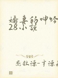 娇妻的呻吟1—28小说