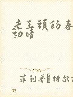 老王头的春天林初晴封面