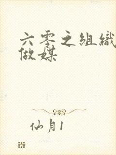 六零之组织给我做媒