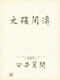 文强周涛