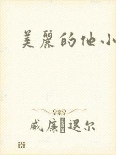 美丽的他小说