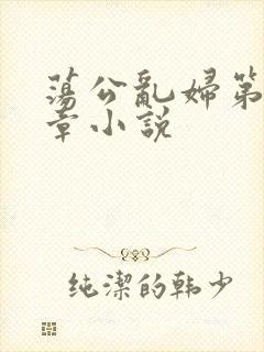 荡公乱妇第51章小说