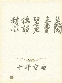 赵锦儿秦慕修的小说免费阅读全文