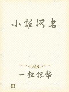 小说网名