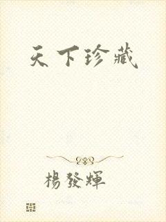 天下珍藏