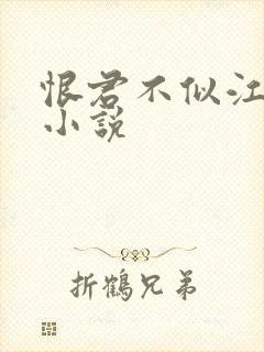 恨君不似江楼月小说