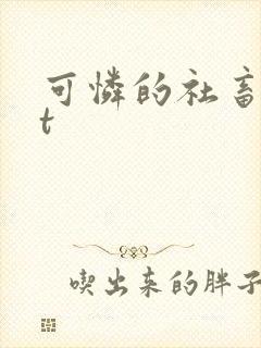 可怜的社畜txt
